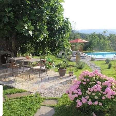 Villa Mavrici, Neighbors Free Buzet Kültér fotó