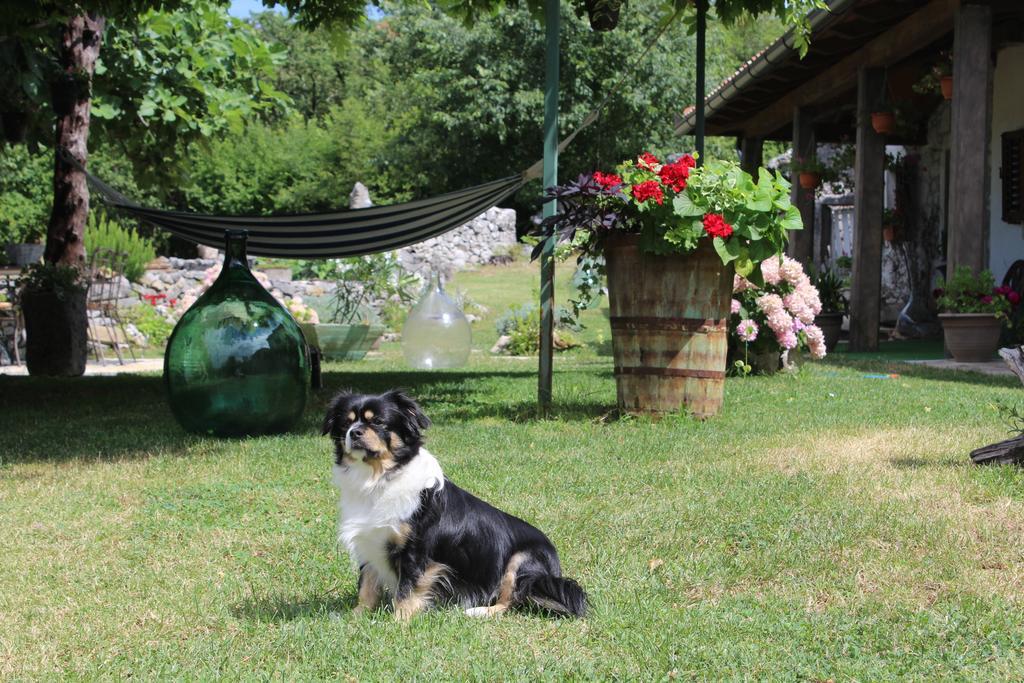 Villa Mavrici, Neighbors Free Buzet Kültér fotó