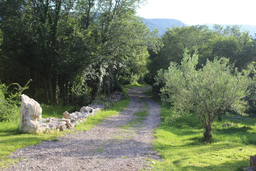 Villa Mavrici, Neighbors Free Buzet Kültér fotó