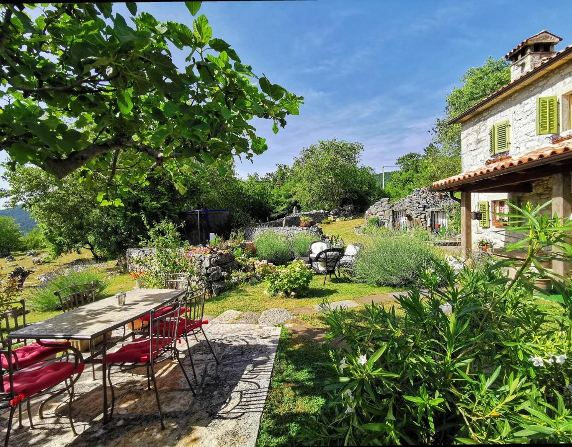 Villa Mavrici, Neighbors Free Buzet Kültér fotó